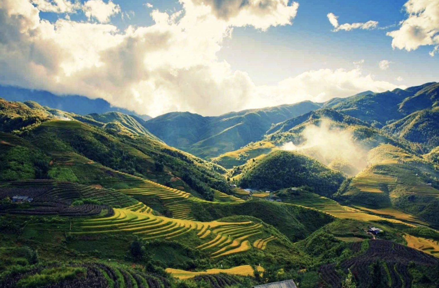 Tour Sapa 1 Ngày – Trải Nghiệm Trọn Vẹn Núi Rừng & Văn Hóa Tây Bắc (Tour Thiết Kế Riêng)