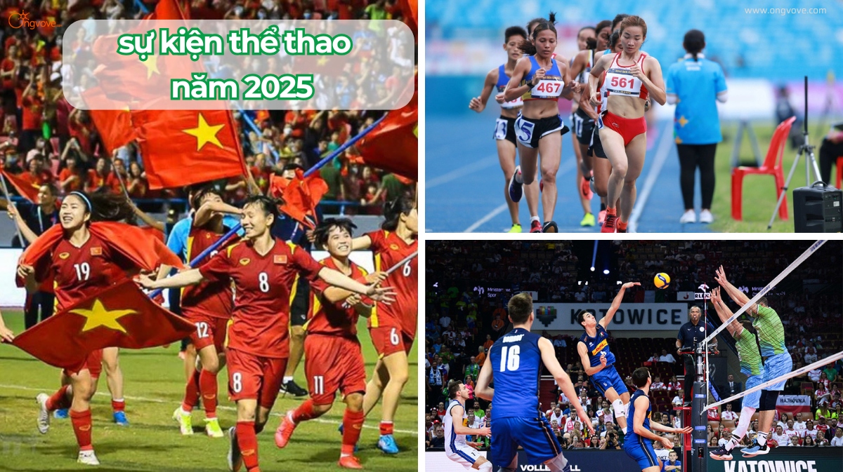 Những Sự Kiện Thể Thao Đáng Chú Ý Nhất Năm 2025