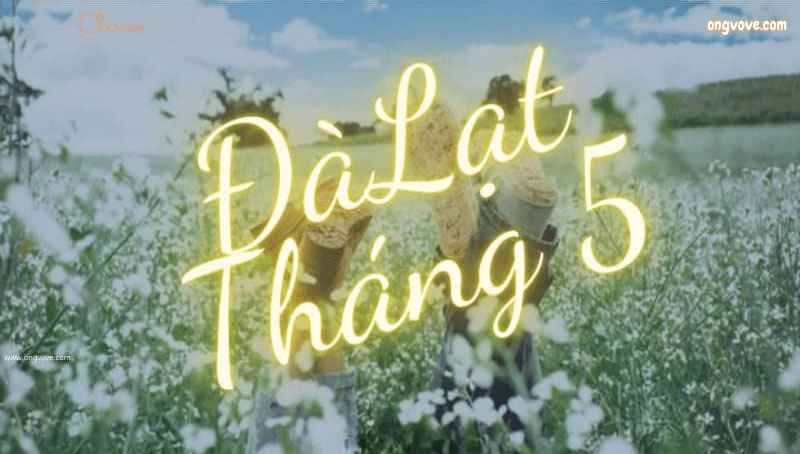 Tất tần tật về kinh nghiệm đi du lịch Đà Lạt tháng 5