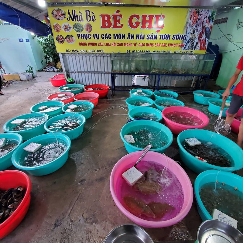 Nhà Bè Bé Ghẹ
