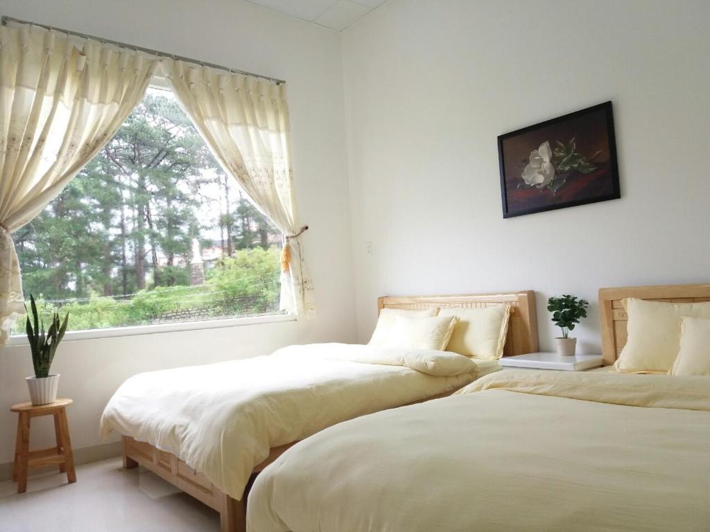 Dâu Tây Homestay