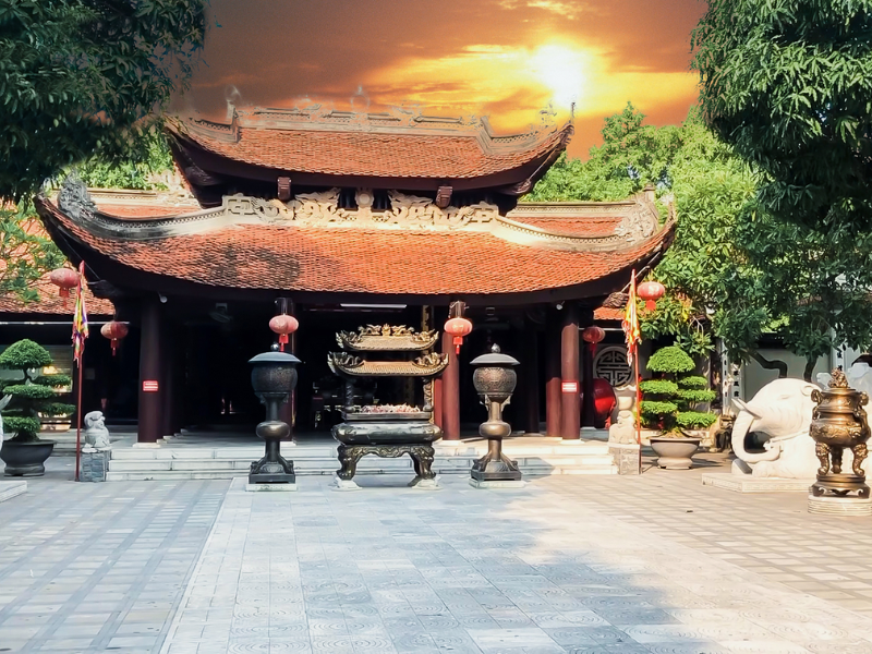Kinh nghiệm Chuyên Gia Từ Ong Vò Vẽ Travel