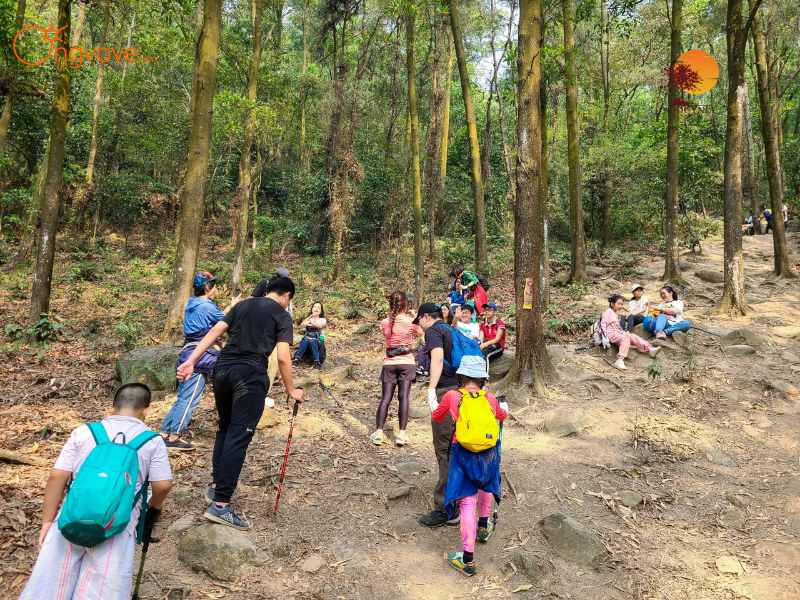 Chụp ảnh "check-in" với thiên nhiên hoang sơ