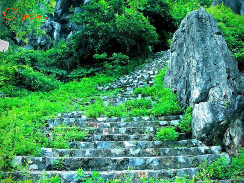 Vì Sao Nên Lựa Chọn Ong Vò Vẽ Travel Cho Tour Núi Voi - Chùa Chiều?