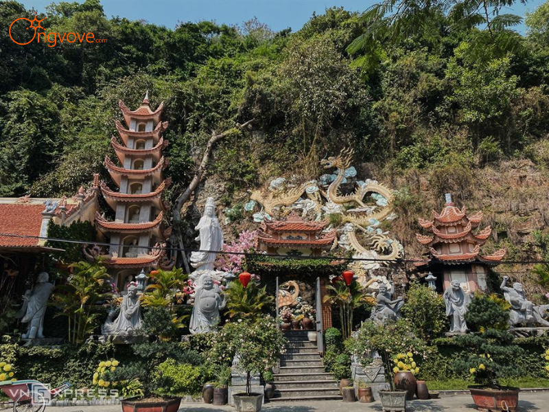 Giới thiệu