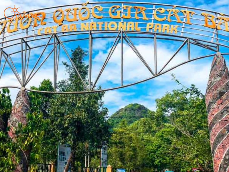 Giới thiệu