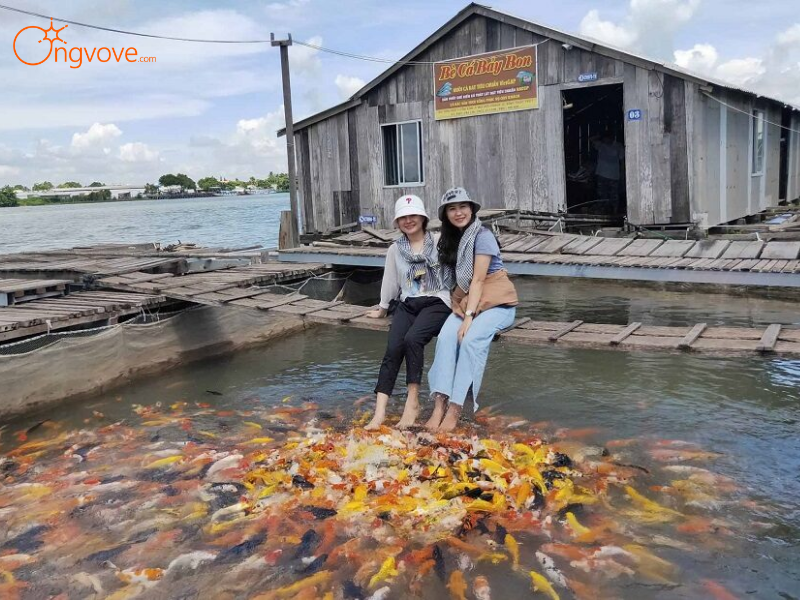 Lịch Trình Chi Tiết Tour Chợ Nổi Cái Răng & Cồn Sơn 1 Ngày