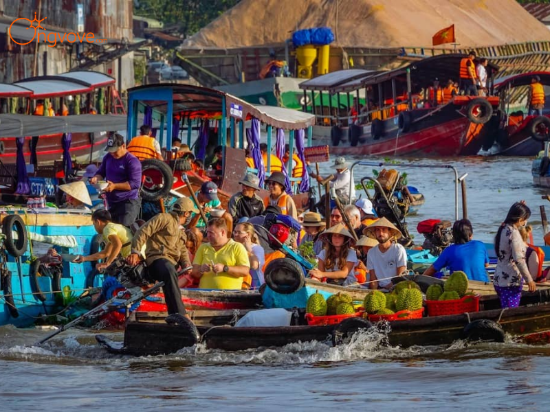 Lịch Trình Chi Tiết Tour Chợ Nổi Cái Răng & Vườn Trái Cây 1 Ngày