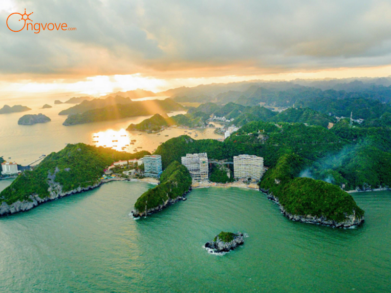 Lịch Trình Chi Tiết Tour Vườn Quốc Gia Cát Bà 1 Ngày Từ Hải Phòng