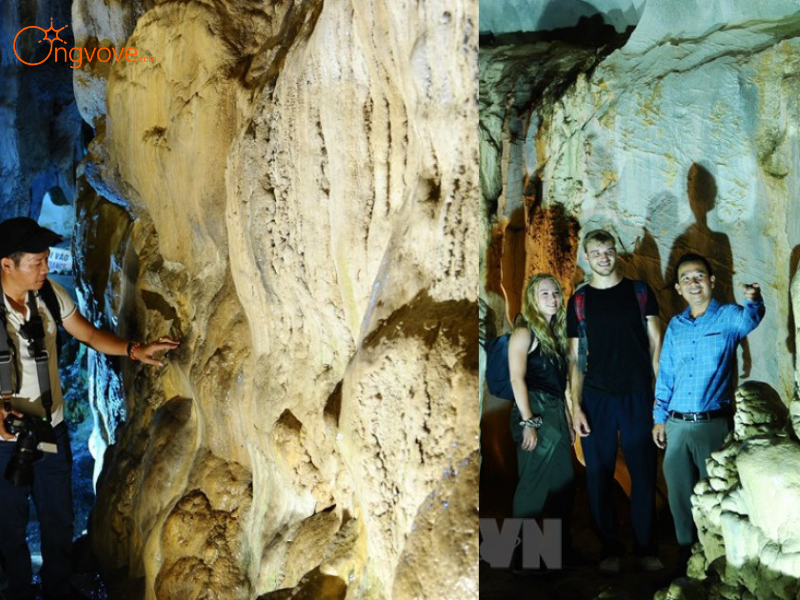 Lịch Trình Chi Tiết Tour Vườn Quốc Gia Cát Bà - Động Trung Trang 1 Ngày