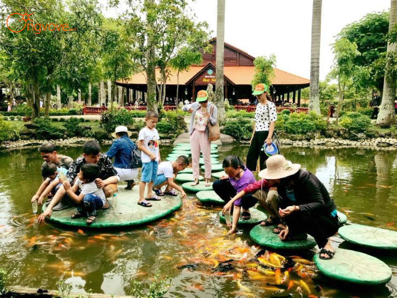 So Sánh Tour Chợ Nổi Cái Răng & Làng Du Lịch Mỹ Khánh 1 Ngày Với Các Hình Thức Khác