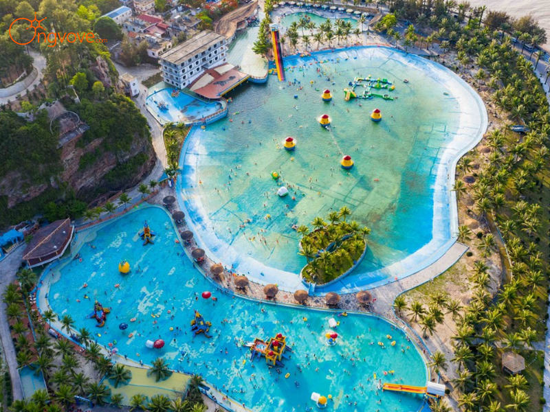 Tour Công Viên Rồng Biển - Hòn Dáu Cùng Ong Vò Vẽ Travel Có Gì Đặc Biệt?
