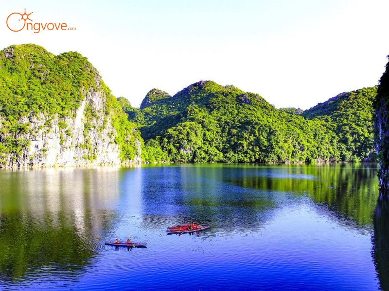 Tour Vườn Quốc Gia Cát Bà 1 Ngày Cùng Ong Vò Vẽ Travel Có Gì Khác Biệt?