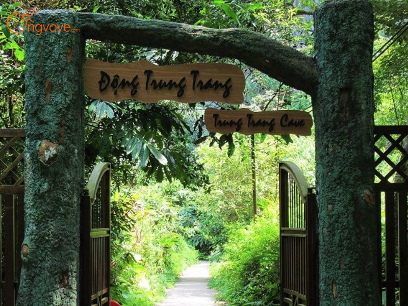 Tour Vườn Quốc Gia Cát Bà - Động Trung Trang Cùng Ong Vò Vẽ Travel Có Gì Độc Đáo?
