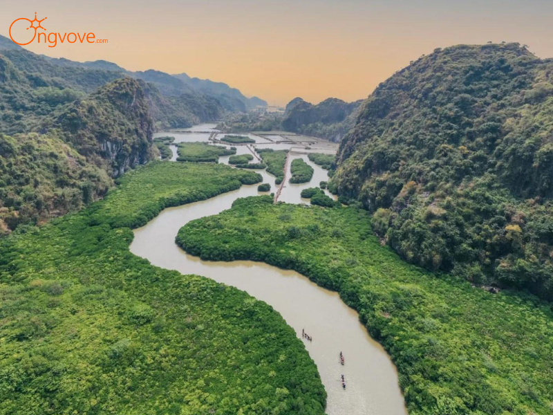Lịch Trình Chi Tiết Tour Nhà Thờ Đổ & Rừng Ngập Mặn 1 Ngày Tại Hải Phòng