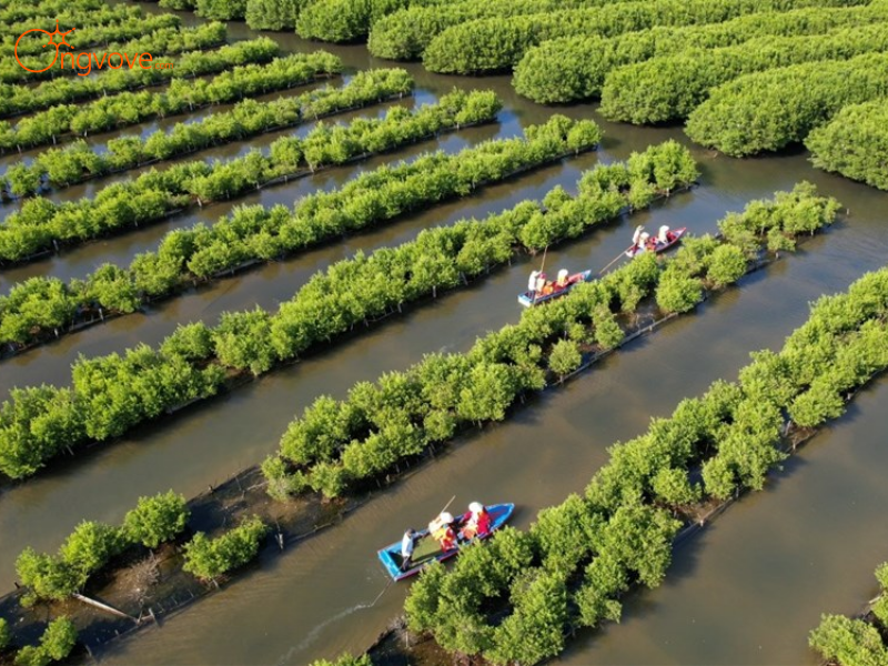 Tour Nhà Thờ Đổ & Rừng Ngập Mặn Cùng Ong Vò Vẽ Travel Có Gì Đặc Biệt?