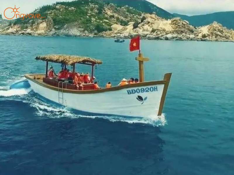 Chi Phí Tour Câu Mực Đêm Đà Nẵng 1 Ngày