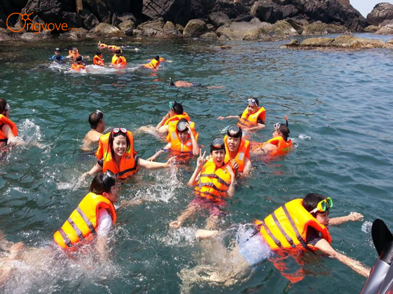 "Kinh Nghiệm Đi Câu Mực Đêm Ở Đà Nẵng": Tại Sao Nên Chọn Tour "Trọn Gói"?
