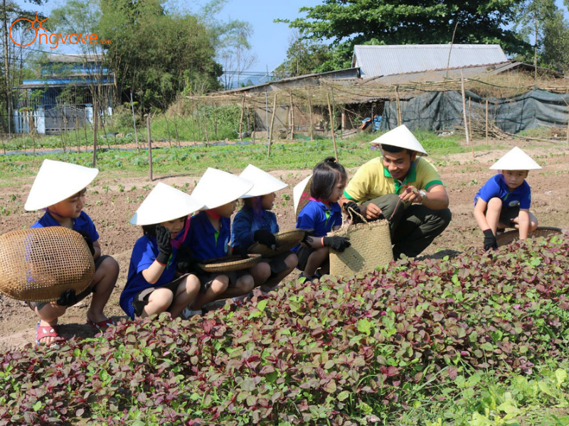 Lịch Trình Chi Tiết Tour Trải Nghiệm Nông Trại & Làm Nông Dân