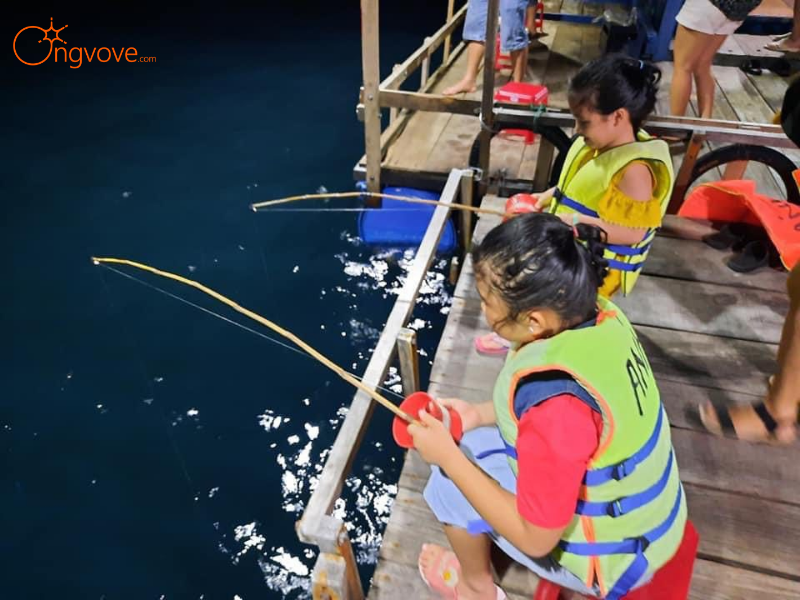 Lịch Trình Tour Câu Mực Đêm Đà Nẵng 1 Ngày "Trải Nghiệm Tối Ưu"
