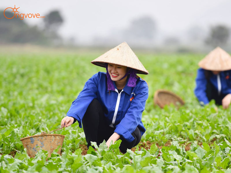 Trở Thành Nông Dân Chính Hiệu – Trải Nghiệm Làm Nông Dân Cho Trẻ Em (Và Cả Người Lớn!)