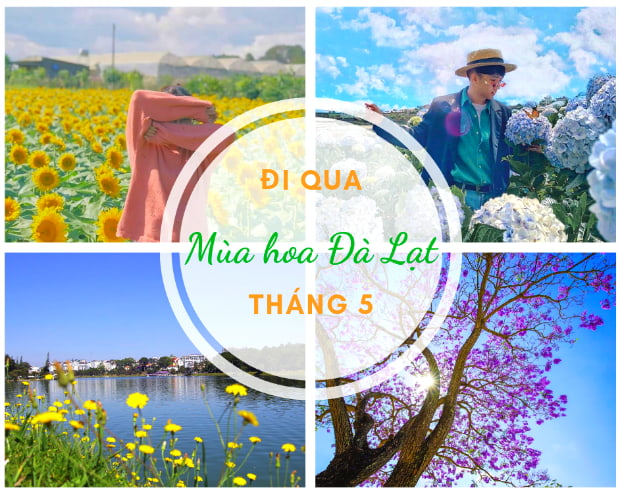 Du lịch đà lạt vào tháng 5 có hoa gì ?