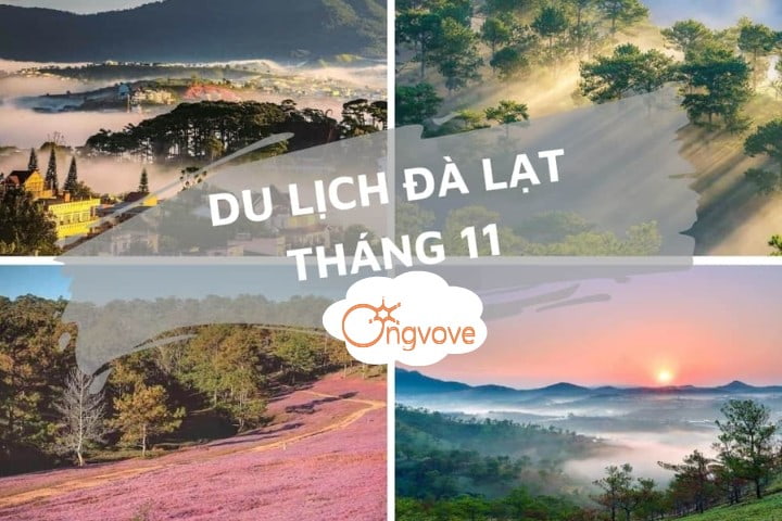 Du lịch Đà Lạt tháng 11 - Trọn bộ trải nghiệm đi đâu, ăn gì, ở đâu?