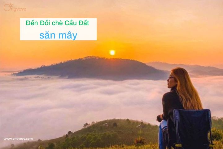 Đến Đồi chè Cầu Đất săn mây
