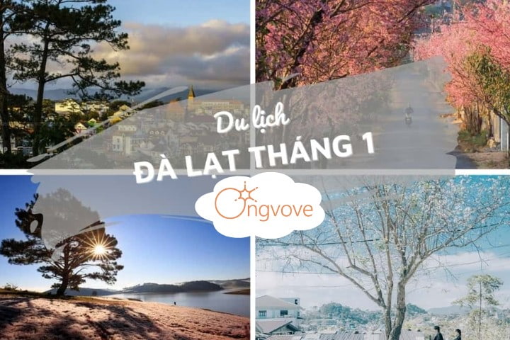 Du lịch Đà Lạt tháng 1 có gì độc đáo | Thời tiết như thế nào?