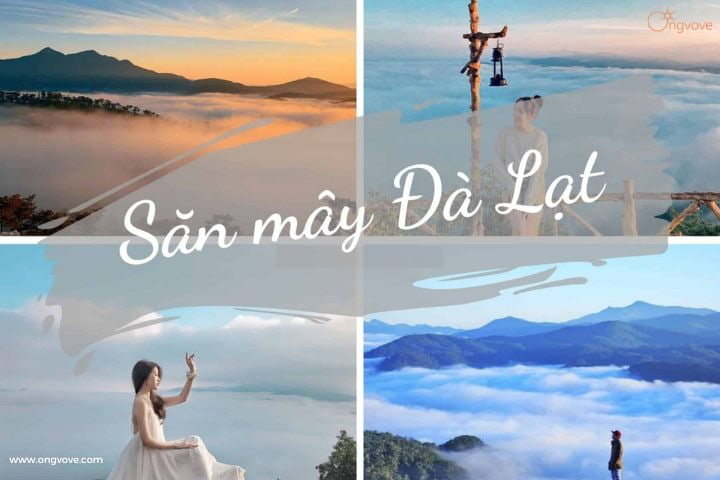 săn mây Đà Lạt tháng 12