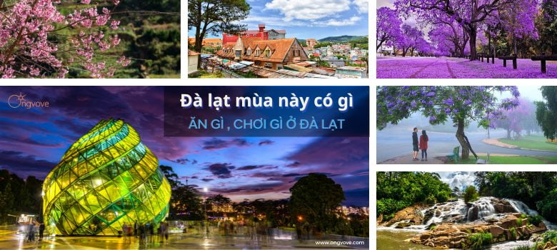 Đà lạt mùa này có gì ? Đà Lạt review ăn gì, chơi gì ?