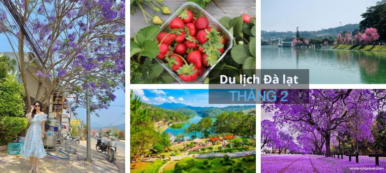 Du lịch Đà Lạt tháng 2 - Đầy hấp dẫn, lãng mạn và mộng mơ