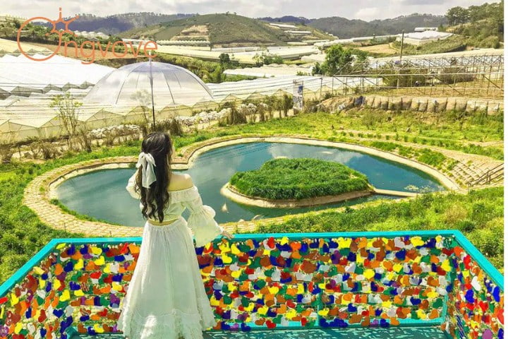 Những điểm vui chơi thú vị Đà Lạt tháng 2