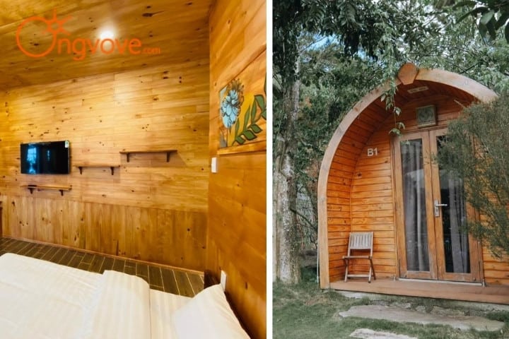 Berry Valley homestay