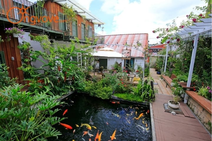 KOI homestay