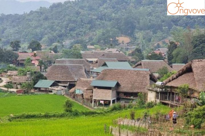 Bản Tha Homestay