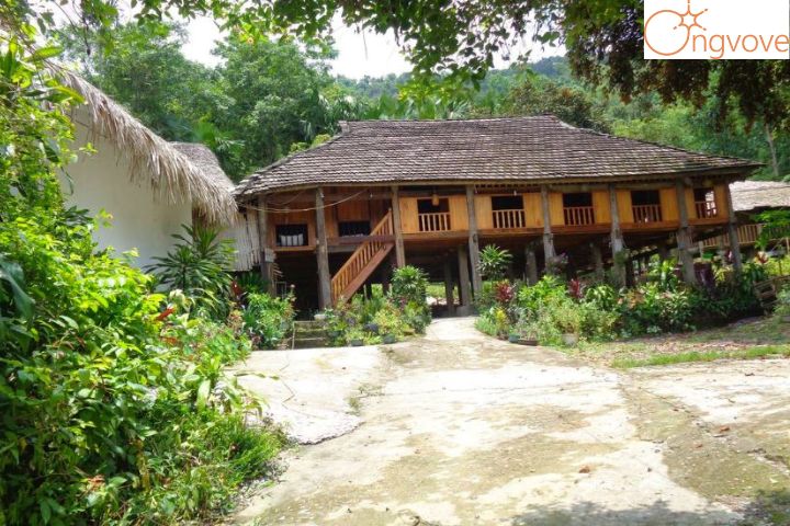 Bản Tuỳ homestay Hà Giang