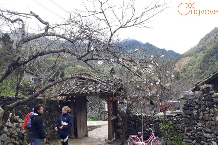 Làng Tày Homestay