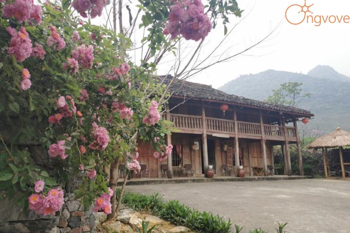 Lô Lô Homestay