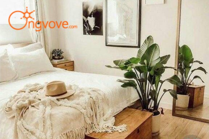 Homestay Thai House 