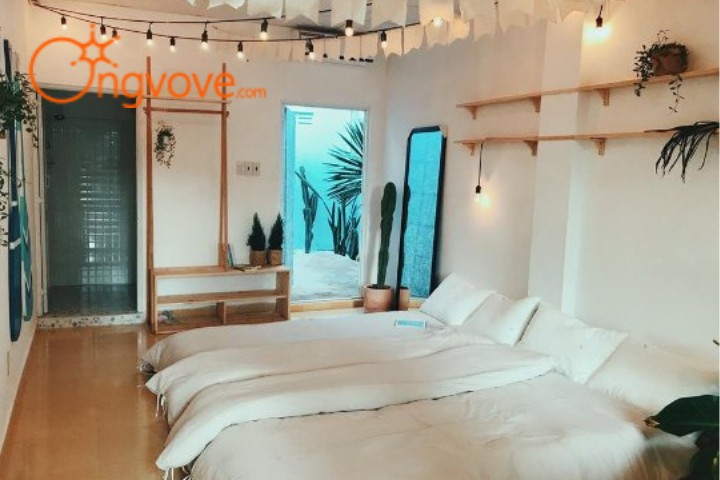 Kokoro Homestay Nha Trang
