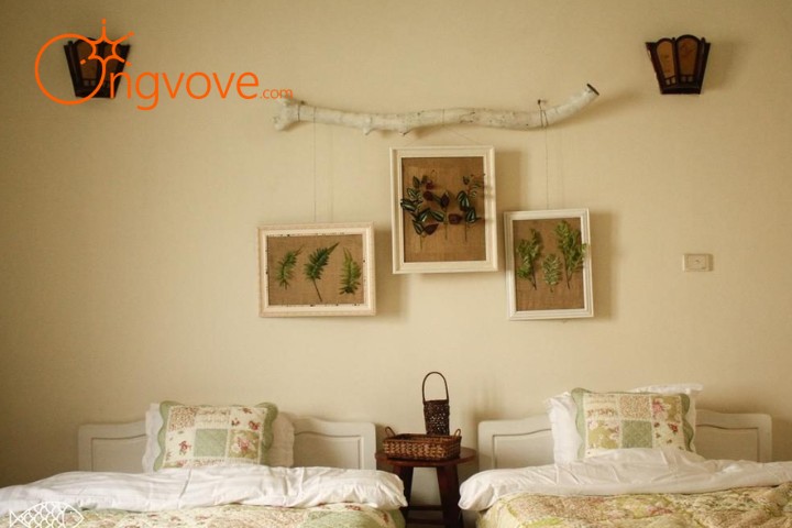 Cá Homestay Hà Nội