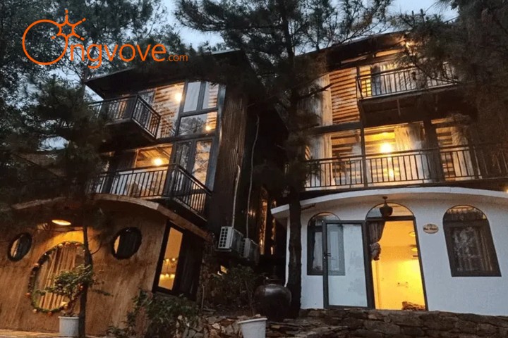 Ceeland homestay