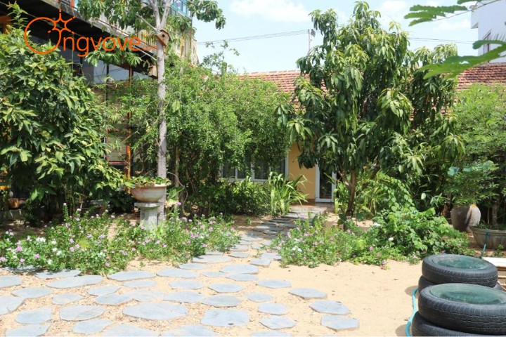 Trại Hoa Vàng Homestay Phú Yên