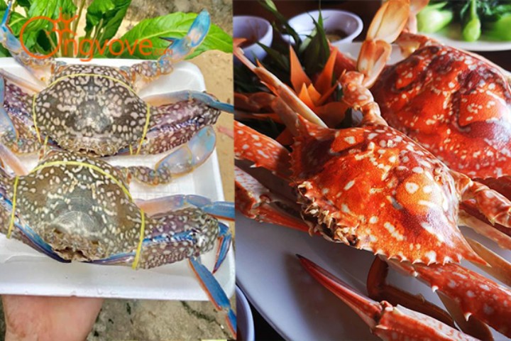 Hải Sâm