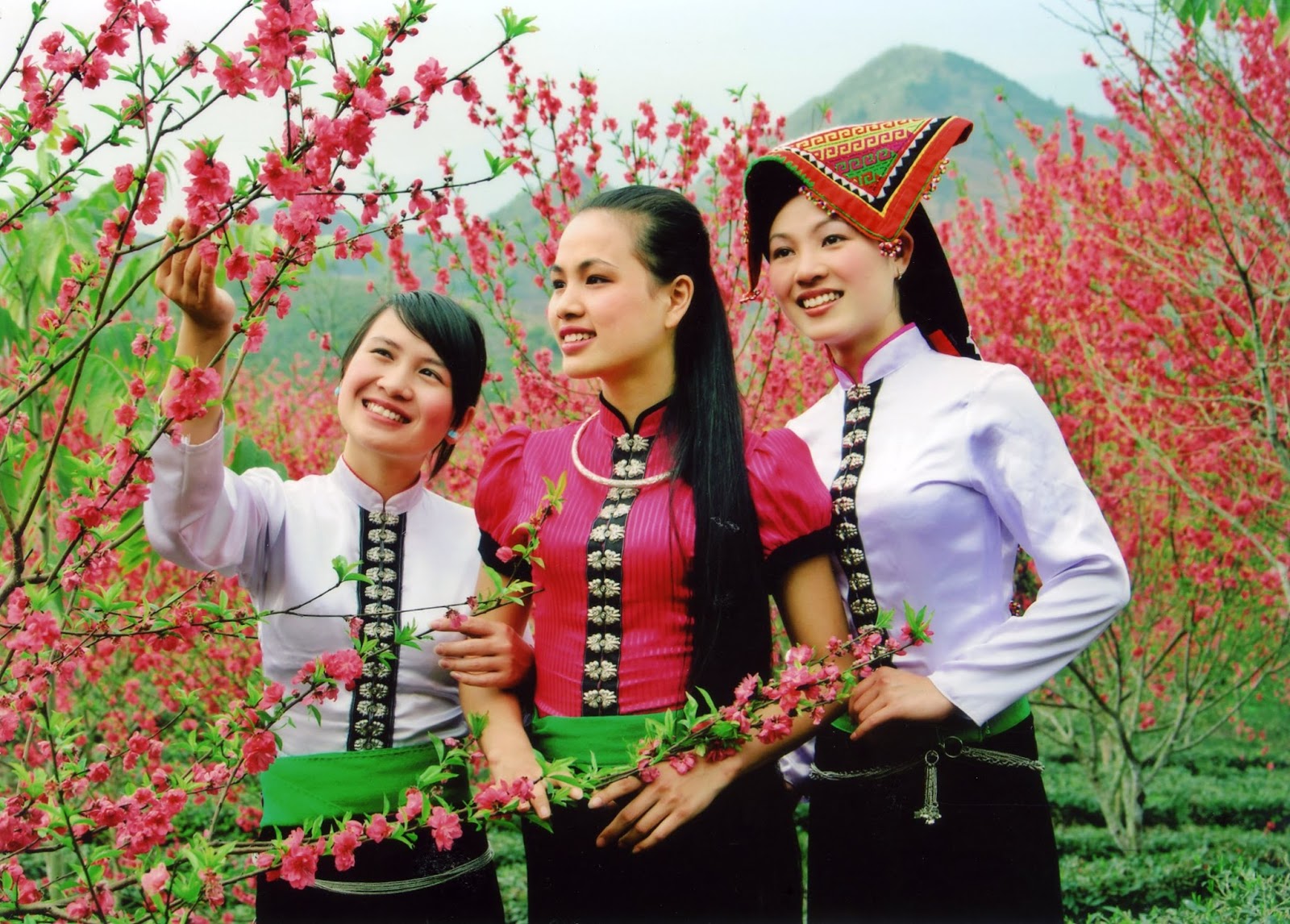 Cây đa ngàn năm và văn hóa dân gian ở Đà Lạt