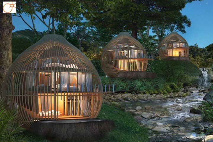 Homestay kiểu tổ chim