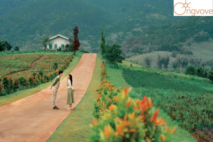 Có gì hấp dẫn tại The Florest - Hoa trong rừng
