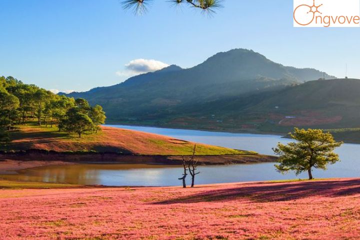 Những lưu ý khi tham gia Tour Điện Biên Đà Lạt