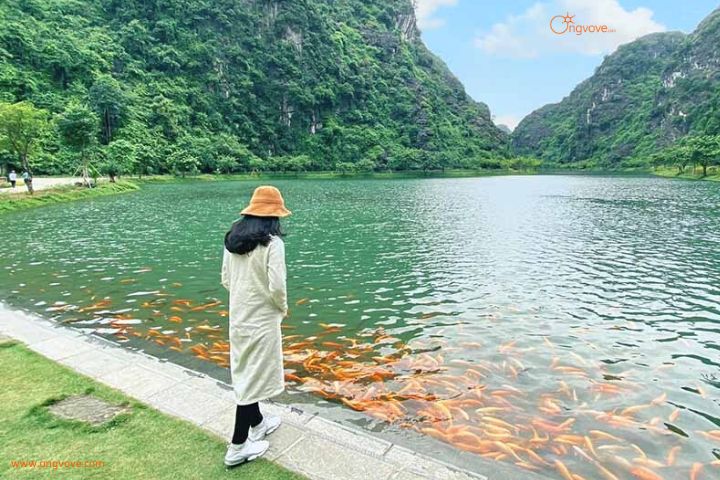 "Sống ảo" ở mọi góc cạnh